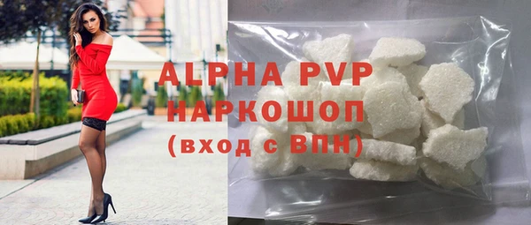 прущие грибы Абаза