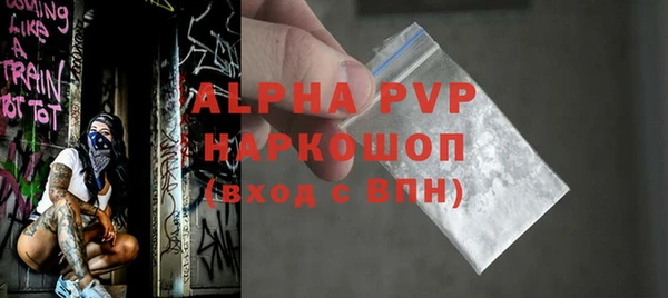 прущие грибы Абаза