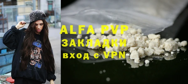 прущие грибы Абаза