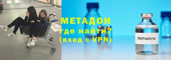 прущие грибы Абаза