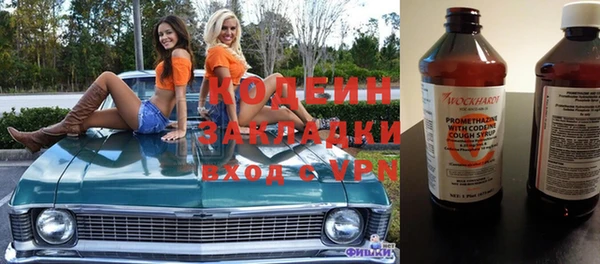 прущие грибы Абаза