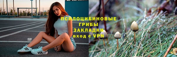дурь Абдулино